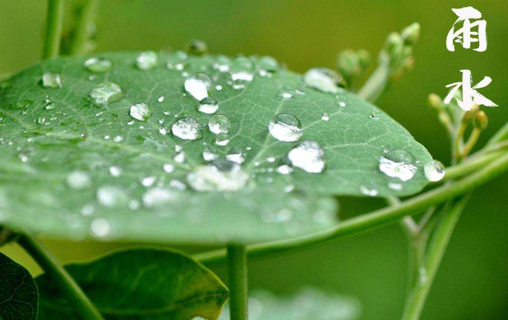 雨水！